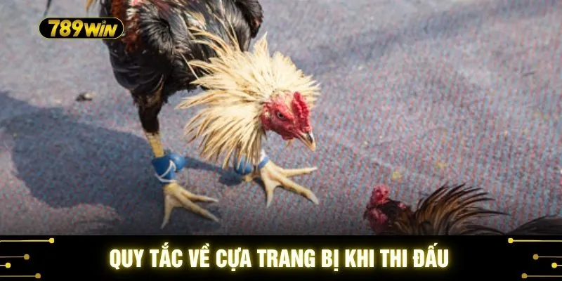 Quy tắc về cựa trang bị khi thi đấu